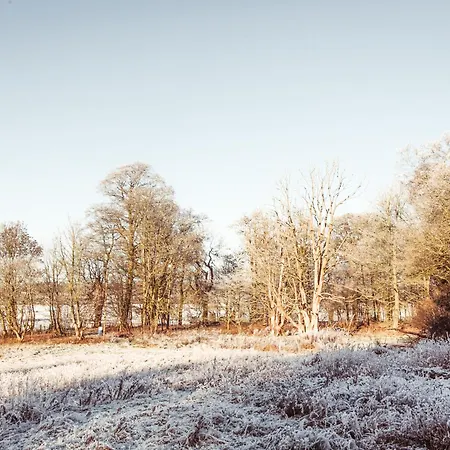 Cleugh Foot 別荘 Longtown